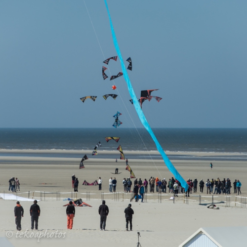 FestivalBerck2015-9184.jpg