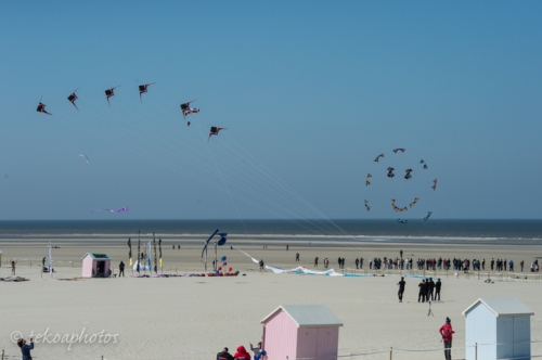 FestivalBerck2015-9188.jpg