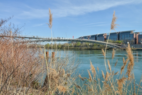 tekoaphotos, passerelle de la paix, lyon, rhône, cité internationale